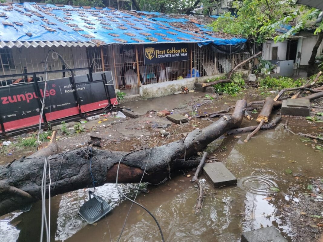 WhatsApp_Image_2023-06-28_at_19.50.11