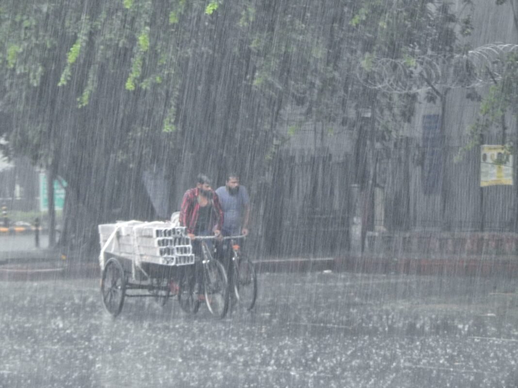 WhatsApp_Image_2023-06-29_at_9.30.23_AM