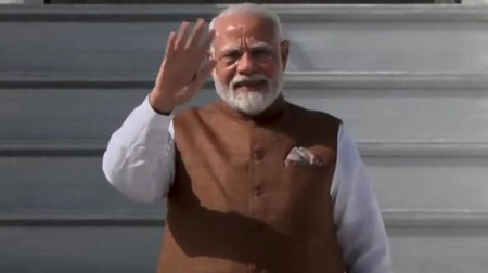 202504223384617