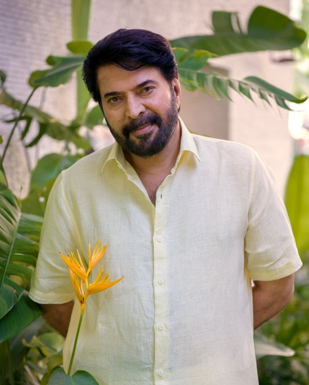 202607183869117